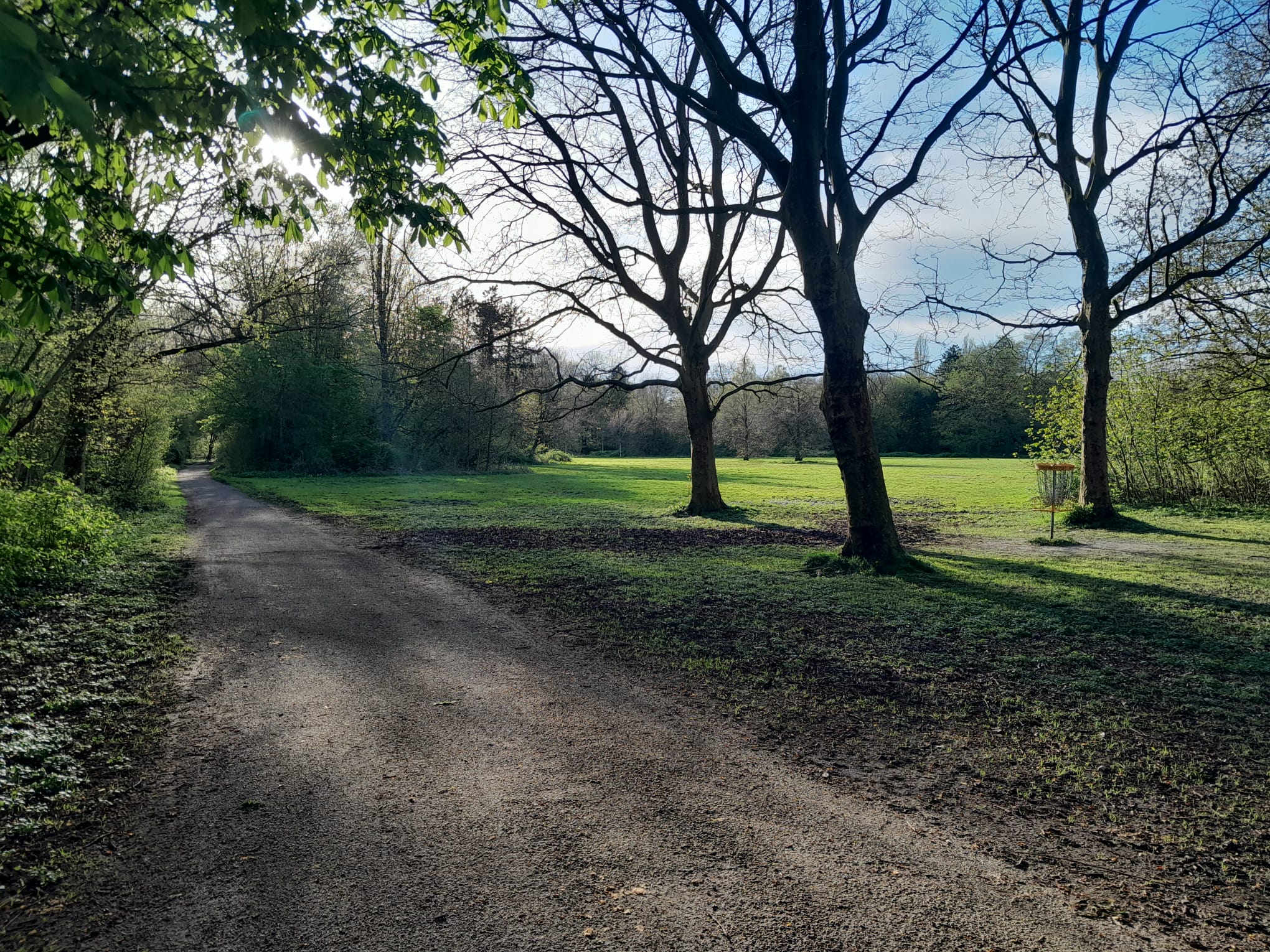 A path going to the left and an open spot with green grass at the rigth, with a yellow disc golf goal between the trees.